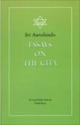 Essays On The Gita