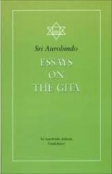 Essays On The Gita