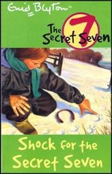 Shock For the Secret Seven (13)