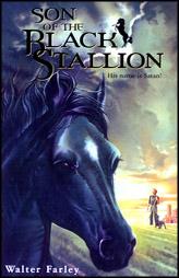 Son Of The Black Stallion