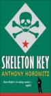 Alex Rider Skeleton Key (3)