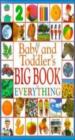 Baby And Toddler's Big Book Of Everything