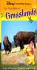 My First Book Of Grasslands