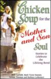 Chicken Soup for the Mother And Son Soul