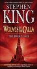 The Dark Tower 5 : Wolves Of The Calla