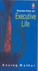 Scenes From An Executive Life