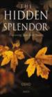 The Hidden Splendor
